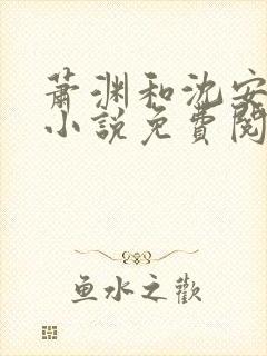 萧渊和沈安安的小说免费阅读