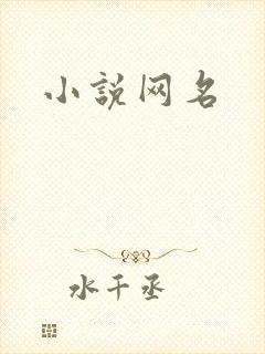 小说网名