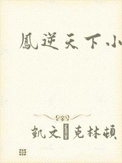 凤逆天下小说