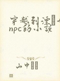 穿越到湮婸世界npc的小说