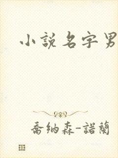 小说名字男生