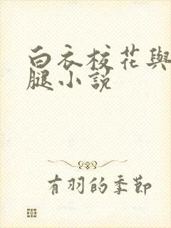 白衣校花与大长腿小说