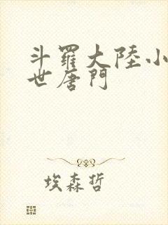 斗罗大陆小说绝世唐门