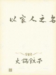 以家人之名小说