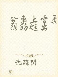 公车上雪柔被猛烈的进出