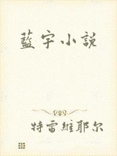 蓝宇小说