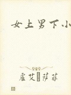 女上男下小说