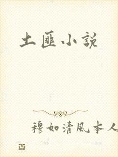 土匪小说