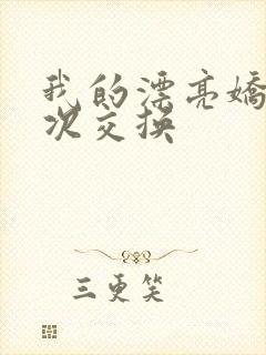 我的漂亮娇妻初次交换