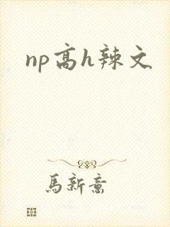 np高h辣文
