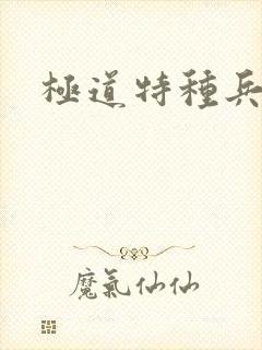 极道特种兵