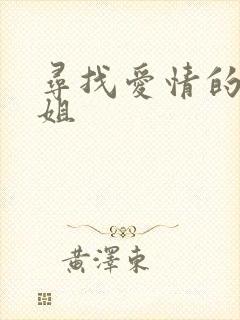 寻找爱情的邹小姐