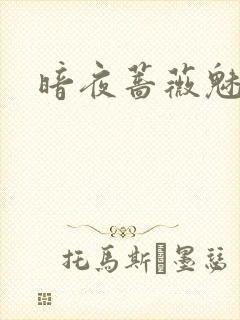 暗夜蔷薇魅