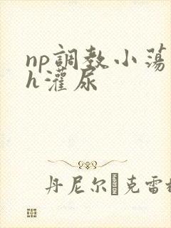 np调教小荡货h灌尿