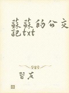 苏苏的公交车日记txt