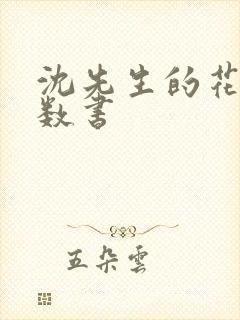 沈先生的花式调数书