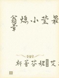 翁熄小莹最新节章