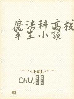 魔法科高校的劣等生小说