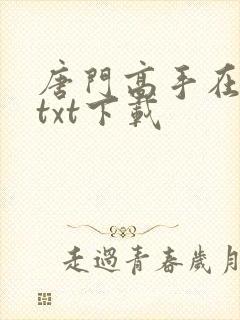 唐门高手在异世txt下载