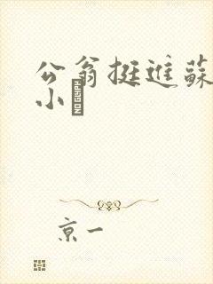 公翁挺进苏玥的小泬