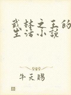 武林之王的退隐生活小说