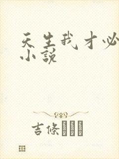 天生我才必有用小说