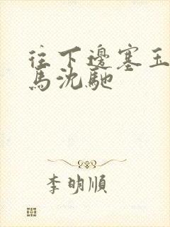 往下边塞玉器骑马沈驰