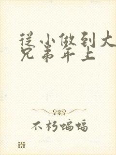从小做到大骨科兄弟年上