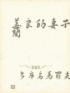 善良的妻子王晓兰