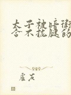 太子被暗卫c到合不拢腿的后果