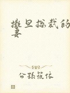 撒旦总裁的下堂妻