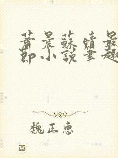 萧晨苏晴最新章节小说笔趣阁