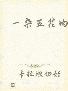 一朵五花肉