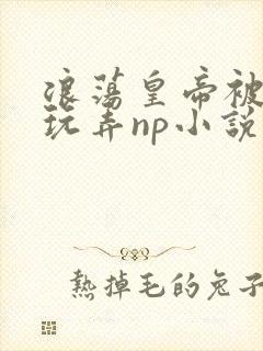 浪荡皇帝被多人玩弄np小说