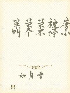 宁荣荣被唐三桶叫个不停小说