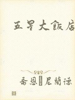 五星大饭店小说