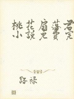 桃花扇落君不还小说免费完整版