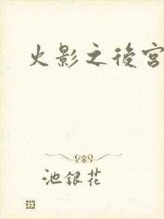 火影之后宫佳丽