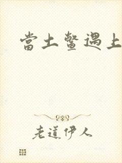 当土鳖遇上海龟