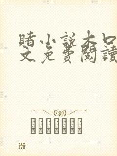 赌小说木口银全文免费阅读笔趣阁