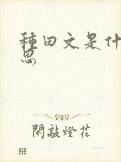 种田文是什么意思