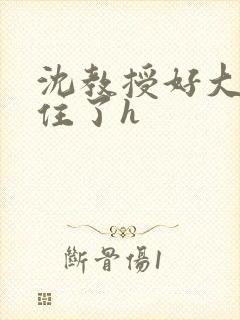 沈教授好大含不住了h