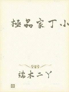 极品家丁小说