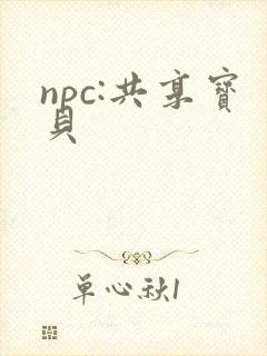npc:共享宝贝