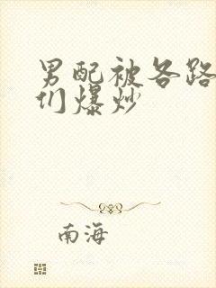 男配被各路大佬们爆炒