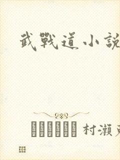 武战道小说