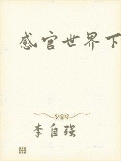 感官世界下载