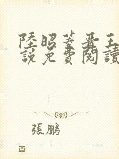 陆昭菱晋王的小说免费阅读