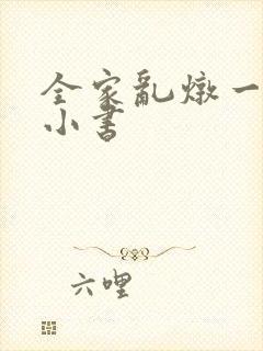 全家乱炖一锅烩小书