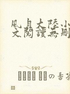 风月大陆小说全文阅读无删减